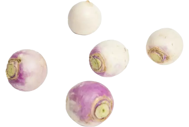Mini turnips 200gr crade 12 pieces